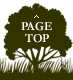 PAGE TOP