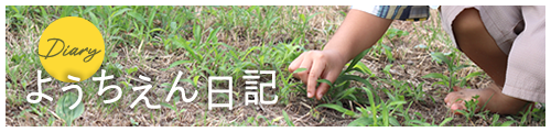 ようちえん日記